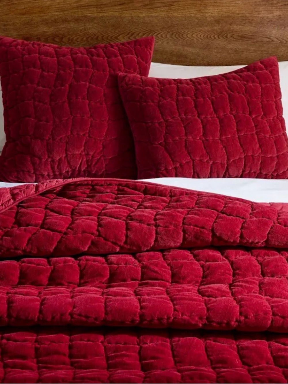 Pottery Barn Full Queen Cozy Cloud QUILT Chenille Cotton Cardinal Ruby Red NWT